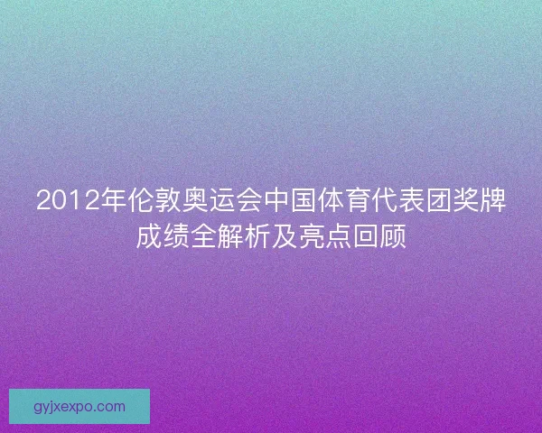 2012年伦敦奥运会中国体育代表团奖牌成绩全解析及亮点回顾